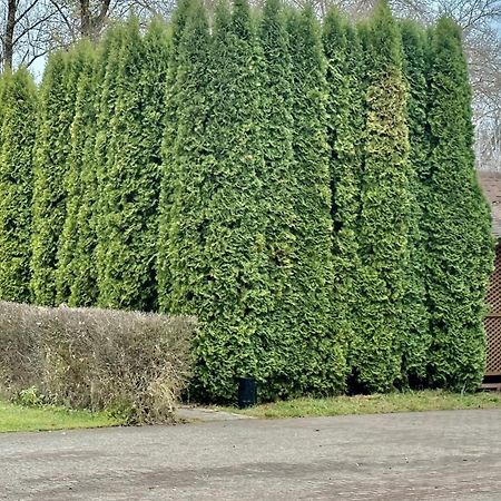 Petrovskyi Brovar Brovary Esterno foto