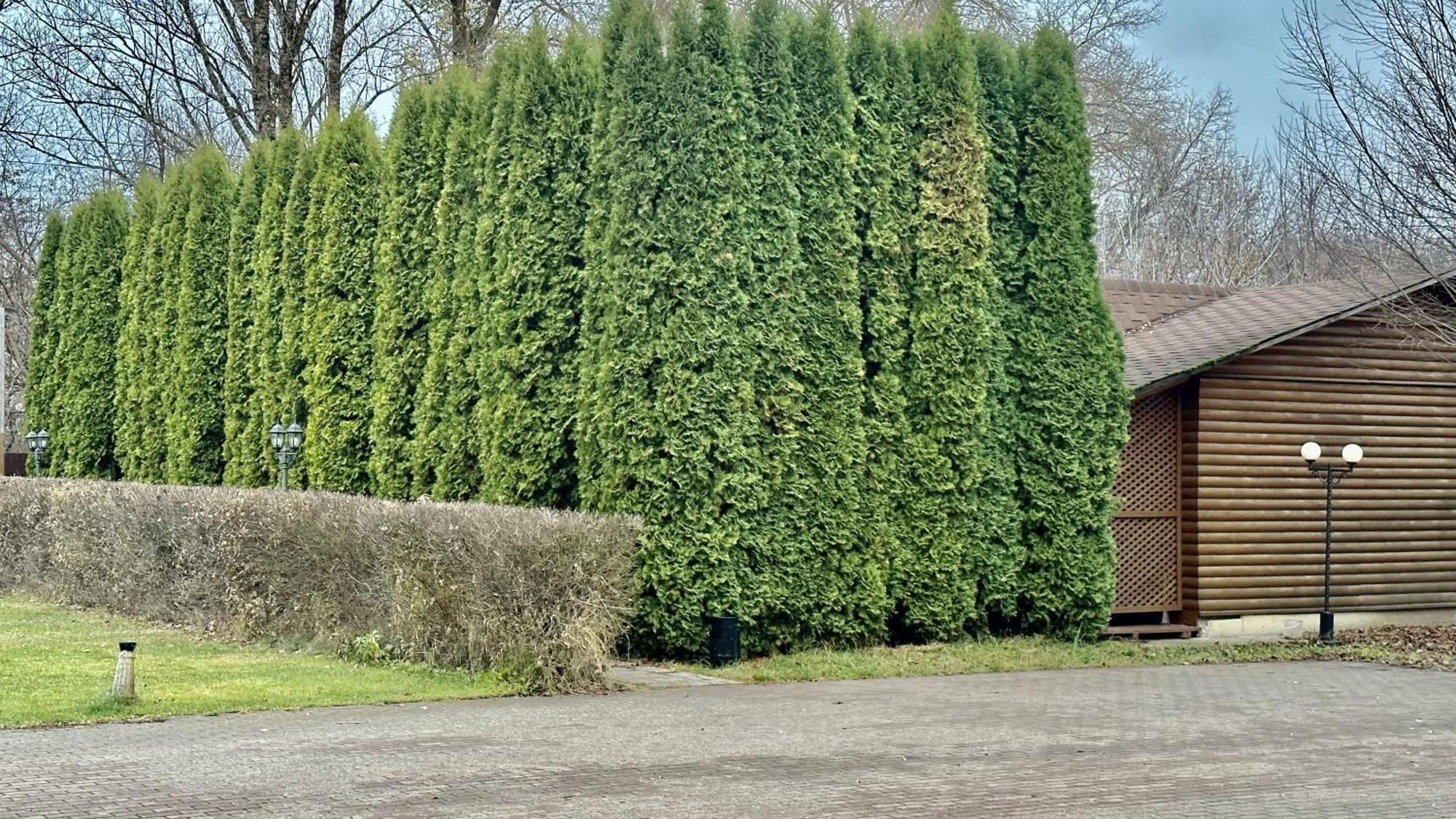 Petrovskyi Brovar Brovary Esterno foto